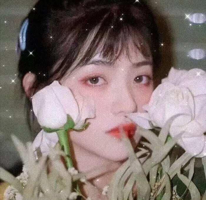 亲爱的总统夫人